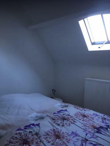 Villa Annex à Audenarde Extérieur photo